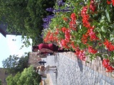 2011- 293.jpg